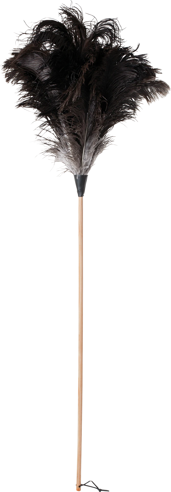 ostrich feather duster