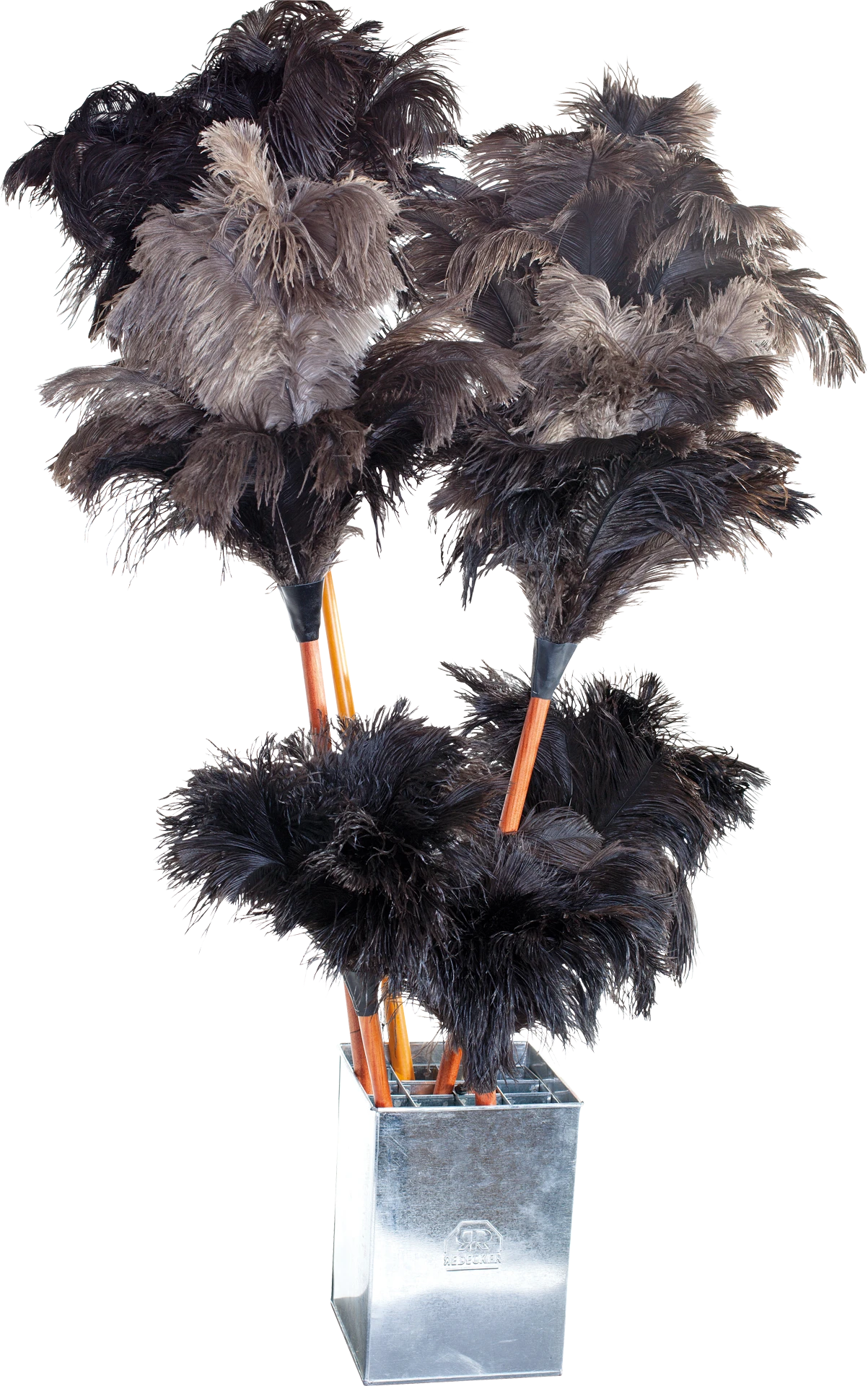 feather duster display