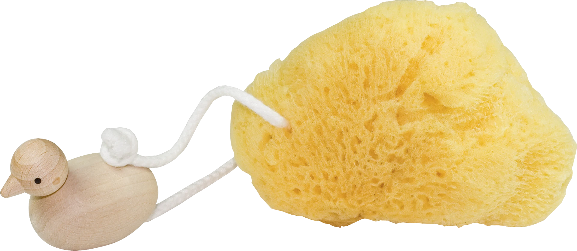 bath sponge