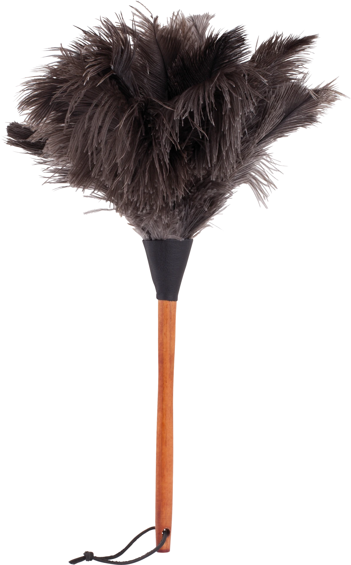 ostrich feather duster