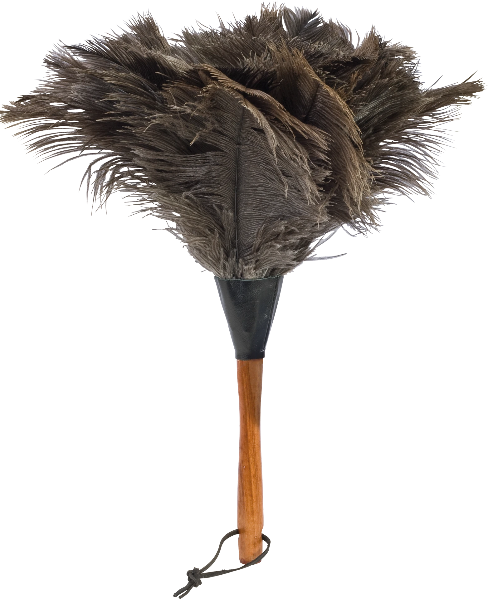 ostrich feather duster