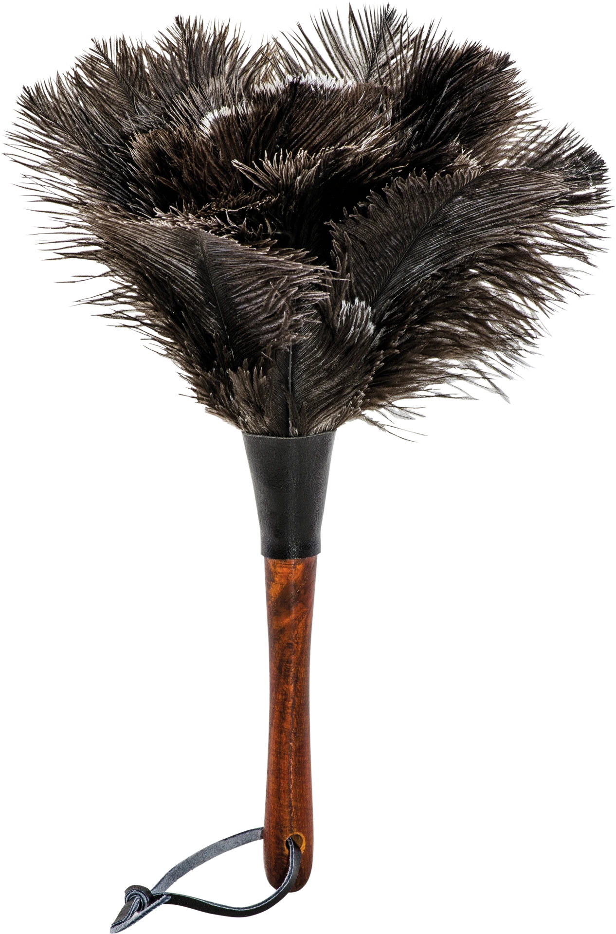 ostrich feather duster