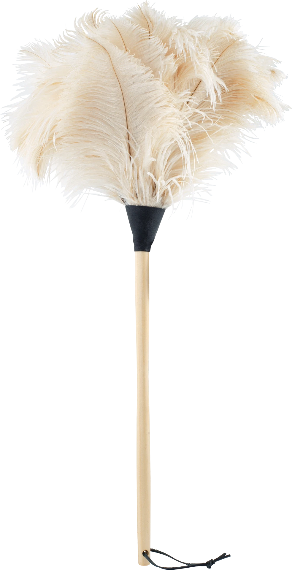 ostrich feather duster